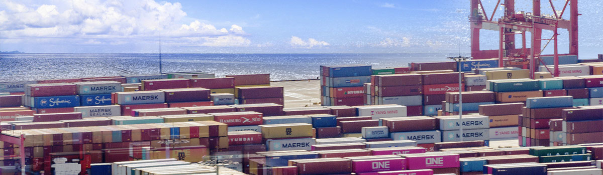 1656056115483061.jpg 海運(yùn)內(nèi)頁(yè)配圖.jpg